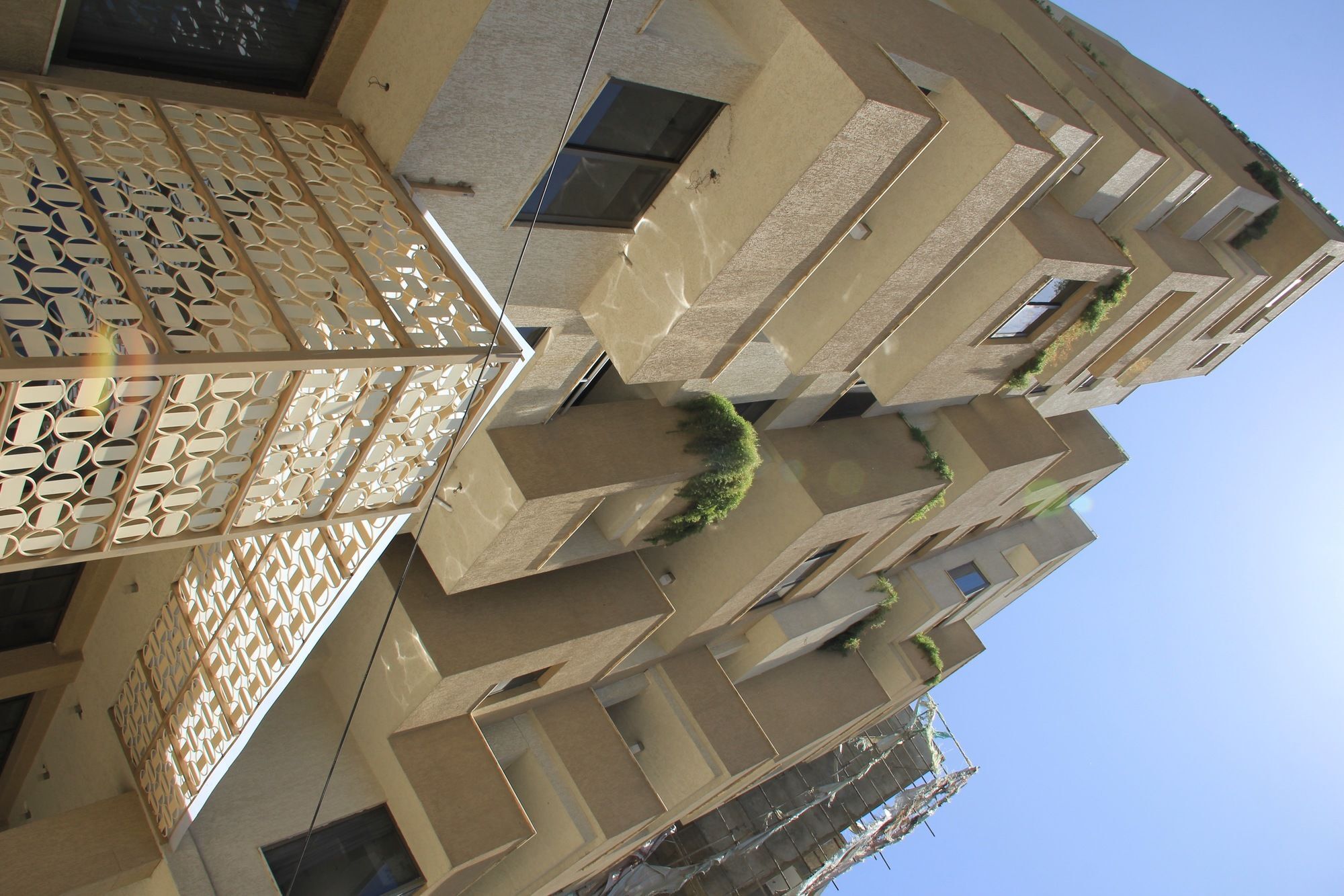 Momona Hotel Addis Ababa Dış mekan fotoğraf